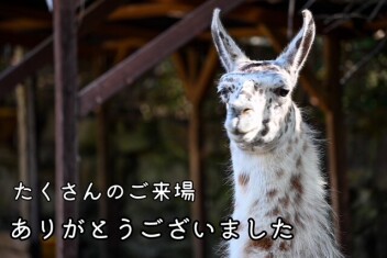 【出張サンキューデー】たくさんのご来場ありがとうございました！