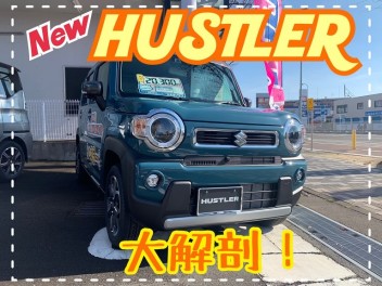 新型ハスラー大解剖！