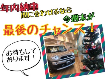 【年内納車】間に合わせるなら今週末が最後のチャンスです！