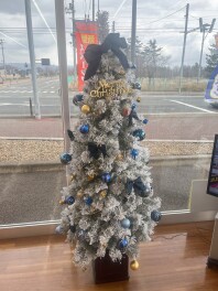 本荘店にクリスマスツリーが来ました！