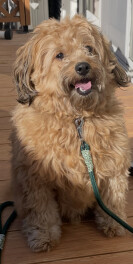 ３月１日から９日までスズキ大決算開催中で～す！！