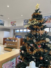 別府店もクリスマス仕様になりました♪