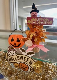 新型クロスビーの試乗車あります☆彡