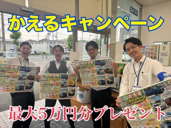 期間限定！かえるキャンペーン！！！
