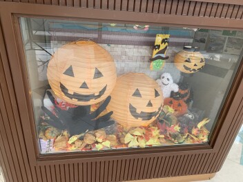 ショールームにハロウィン登場！！