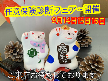 任意保険診断フェア～開催