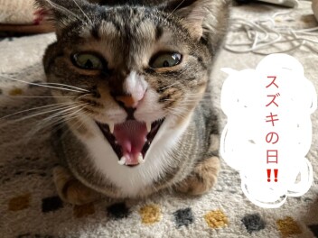 スズキの日６／１６まで！！！
