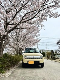 さくら　名所　福岡