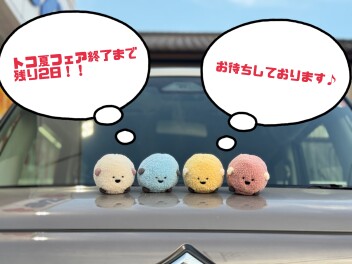 トコ夏フェア終了まであと2日！！