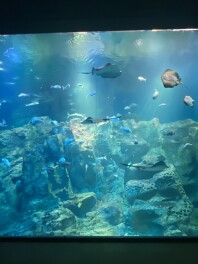 新入社員紹介!!