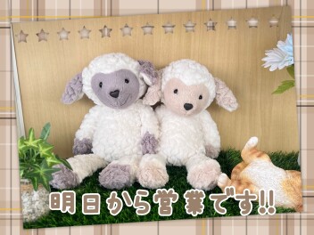 明日から営業再開です！