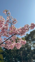 四月新年度　始まりました(^^♪