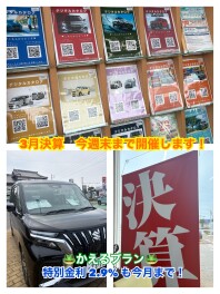 ３月最後の展示会