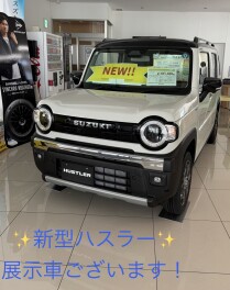新しい車を見に来ませんか？