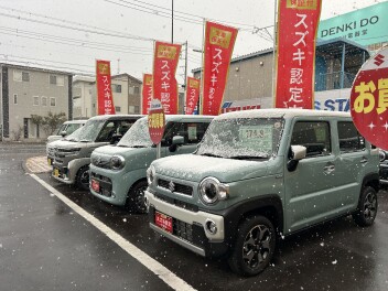 スズキの日の日曜日。