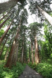 ますだの夏休み