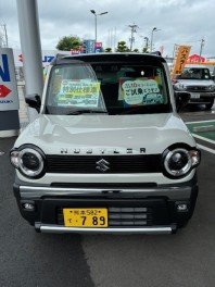 ナンバープレートをさりげなく飾る・守る！！