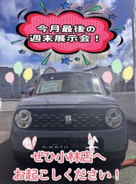 今月最後の週末展示会開催！！
