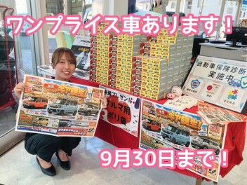ワンプライス車あります！９月３０日まで