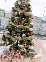 新しいクリスマスツリーを設置しましたヾ(≧▽≦)ﾉ