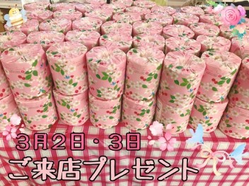３月２・３日展示会開催中☆