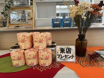 今週末はスズキへ☆