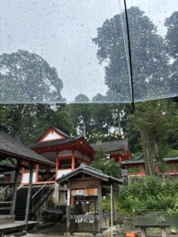 雨の朔日参り