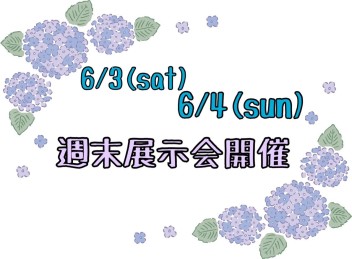 ６月より愛車無料点検開催いたします！