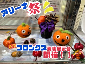 週末はアリーナ祭へ！GO！！