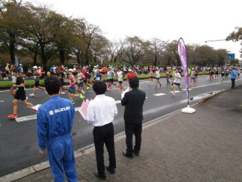 県庁前♪スズキ中古車大商談会♪11月1日（土）～11月3日（月）♪