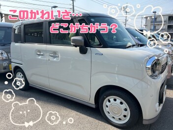 クイズ★クイズ★クイズ