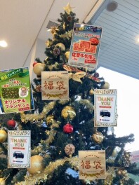 先行初売り中～★ミ