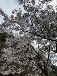 少し足を延ばして♪♪