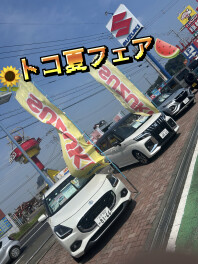 『トコ夏フェア』を開催することになりました！