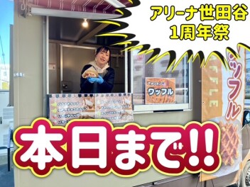 周年祭本日まで！！！
