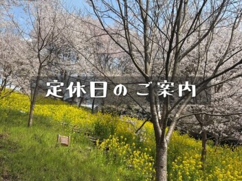 本日は定休日です