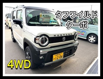 試乗できます！タフワイルド！