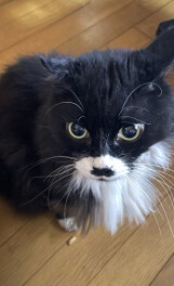 １８日の今日から営業しておりま～す！！