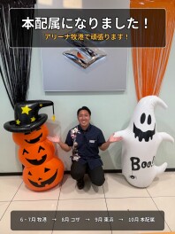 本配属になりました！