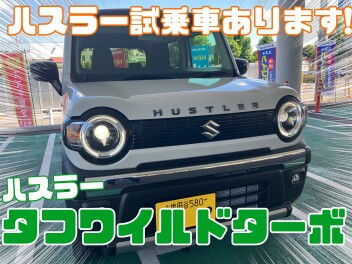 本日限り！タフワイルドターボ試乗車あります！