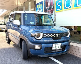 スズキの日！７日からです！