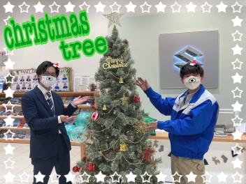 クリスマスツリーを飾りました✨