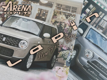 ウサギの夏の衣替え ～新型ラパン登場～
