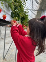 直販拠点ツアー♥業販１Day仕事体験