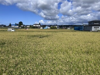 スズキの日が終了⁉