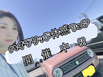 ハイブリッド体感フェア開催中！