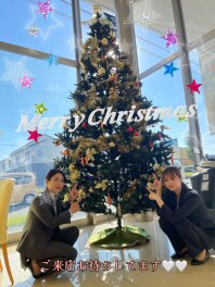 クリスマスツリー飾りました♪★