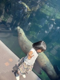 ！本日から営業再開致します！