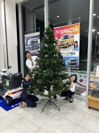 クリスマスツリーお楽しみに！