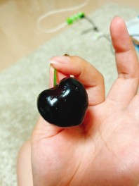 北海道の夏がやってきましたね！